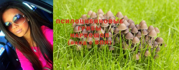 МДПВ Наволоки