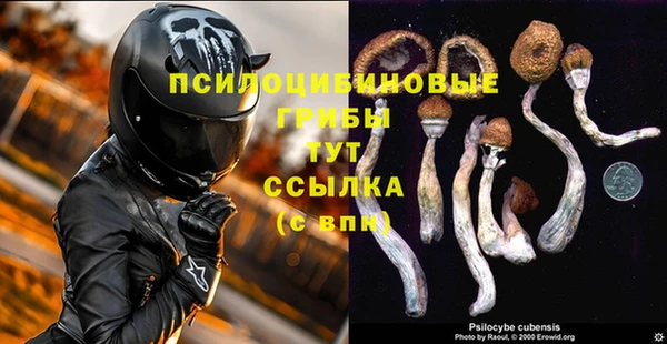 героин Михайлов