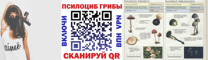 Галлюциногенные грибы GOLDEN TEACHER  продажа наркотиков  Нижний Ломов 